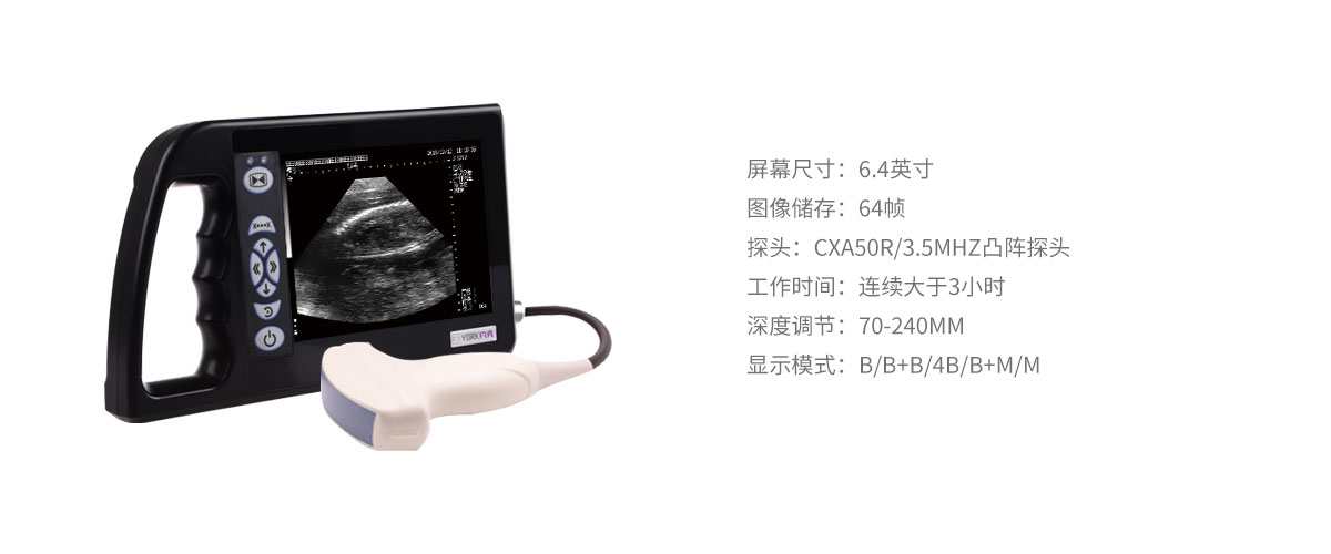 獸用B超檢測(cè)儀.jpg