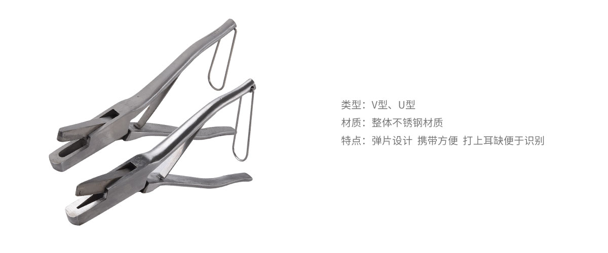 普通耳缺鉗.jpg