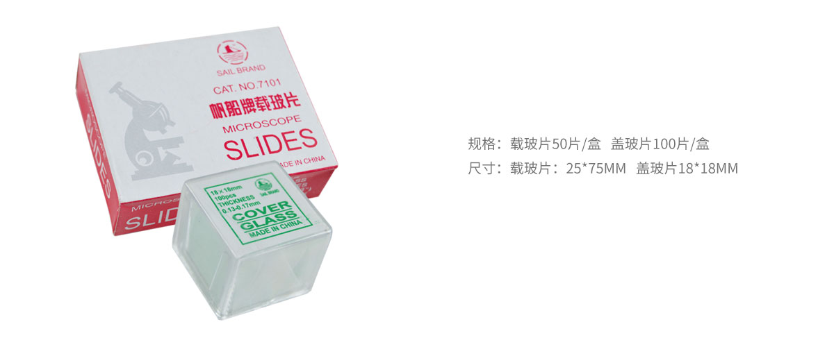載玻片、蓋玻片.jpg