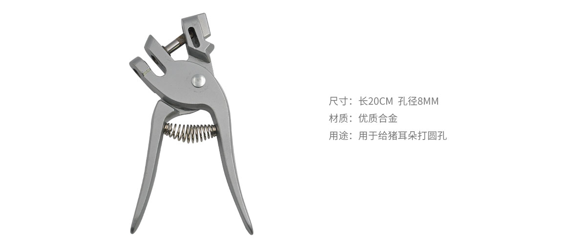 普通耳孔鉗.jpg